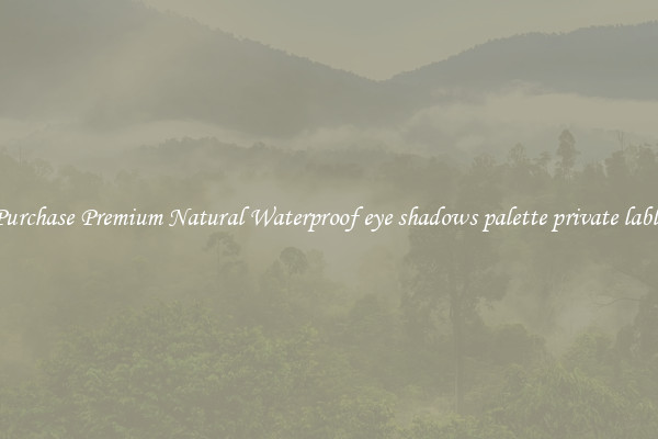 Purchase Premium Natural Waterproof eye shadows palette private lable