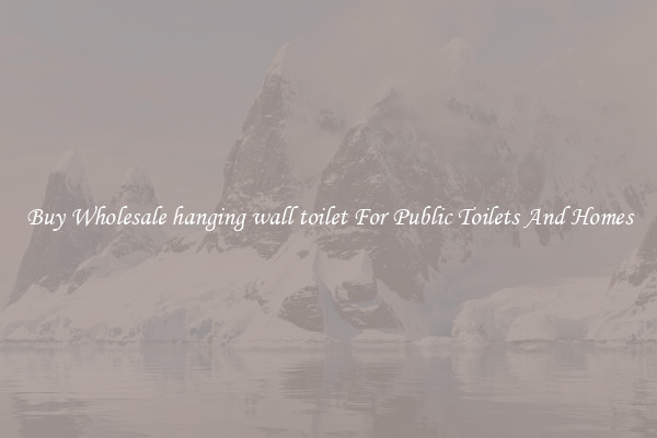Buy Wholesale hanging wall toilet For Public Toilets And Homes