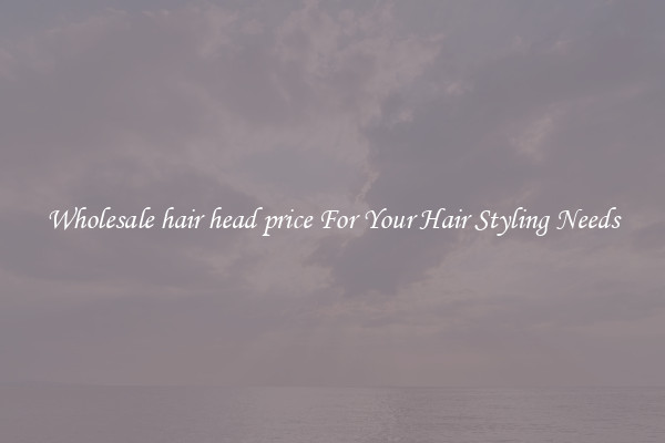Wholesale hair head price For Your Hair Styling Needs