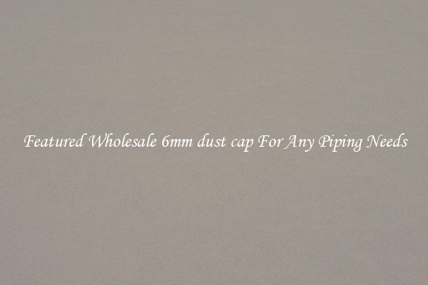 Featured Wholesale 6mm dust cap For Any Piping Needs