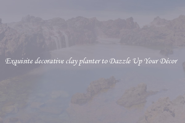 Exquisite decorative clay planter to Dazzle Up Your Décor  