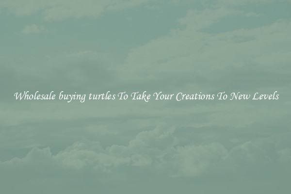 Wholesale buying turtles To Take Your Creations To New Levels