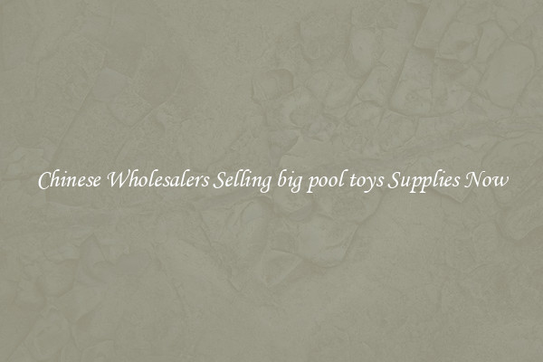 Chinese Wholesalers Selling big pool toys Supplies Now