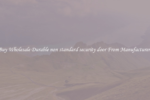 Buy Wholesale Durable non standard security door From Manufacturers