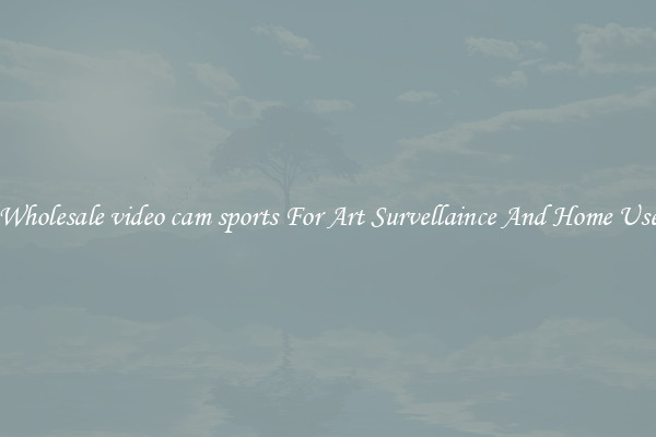 Wholesale video cam sports For Art Survellaince And Home Use