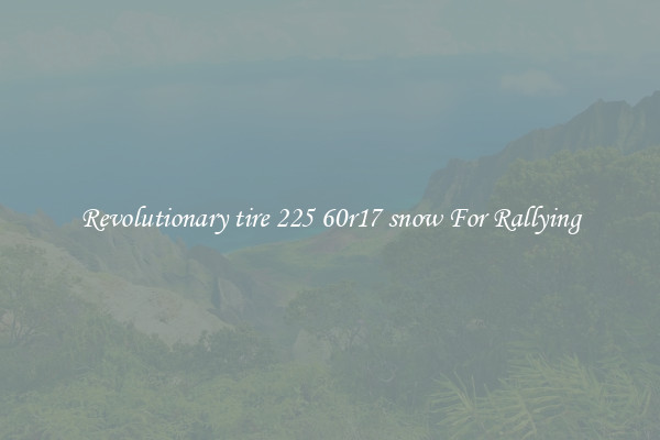 Revolutionary tire 225 60r17 snow For Rallying