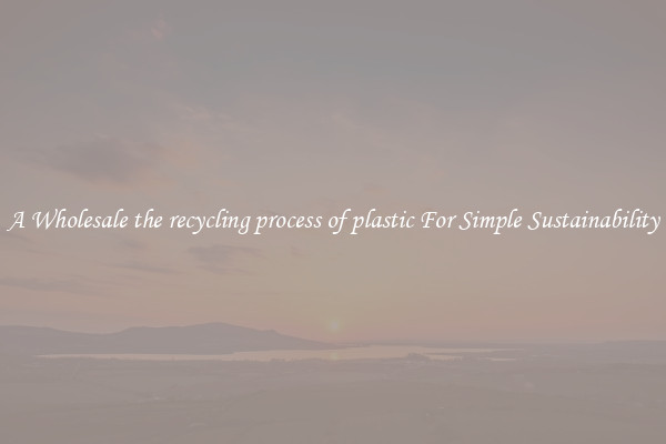 A Wholesale the recycling process of plastic For Simple Sustainability 
