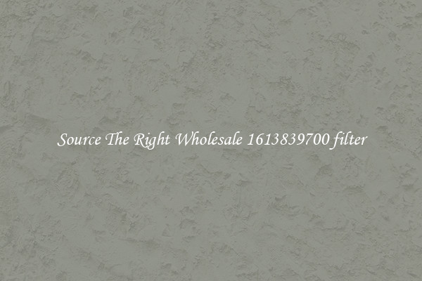 Source The Right Wholesale 1613839700 filter