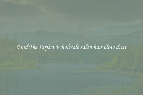 Find The Perfect Wholesale salon hair blow drier