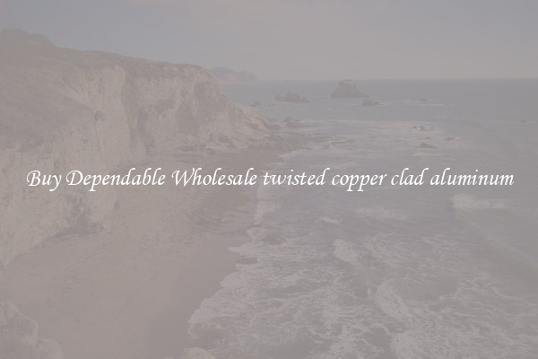 Buy Dependable Wholesale twisted copper clad aluminum