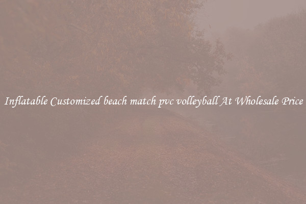 Inflatable Customized beach match pvc volleyball At Wholesale Price