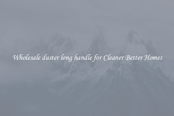 Wholesale duster long handle for Cleaner Better Homes