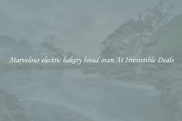 Marvelous electric bakery bread oven At Irresistible Deals
