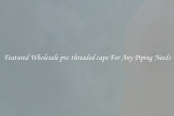 Featured Wholesale pvc threaded caps For Any Piping Needs