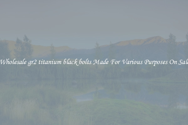 Wholesale gr2 titanium black bolts Made For Various Purposes On Sale