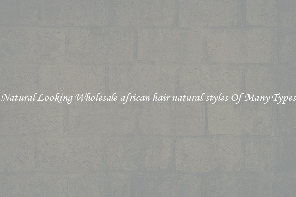 Natural Looking Wholesale african hair natural styles Of Many Types