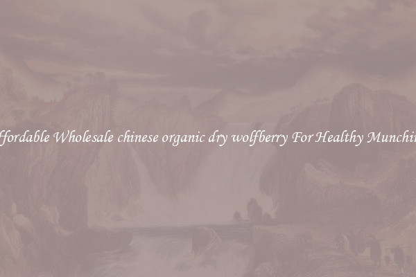 Affordable Wholesale chinese organic dry wolfberry For Healthy Munching 